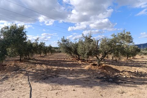 Masia a Sax, Alicante, Sax - € 63.000 | Ref: Panadero - foto 6